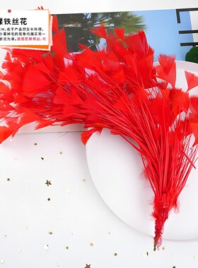 DIY大红色羽毛材料头饰捕梦网布边舞蹈流苏耳环新款花束高级礼服