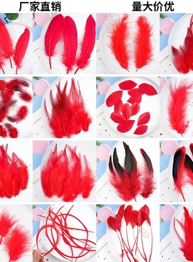 红色羽毛配件鹅毛派对装饰舞台婚礼小绒毛布边服装材料拍照饰品