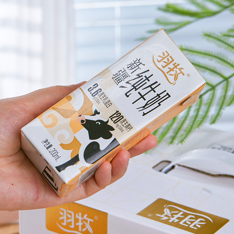 羽牧新疆纯牛奶200ml*20盒装生牛乳营养早餐奶,咖啡/麦片/冲饮,纯牛奶,淘宝优惠券,粉丝福利购,淘宝优惠卷
