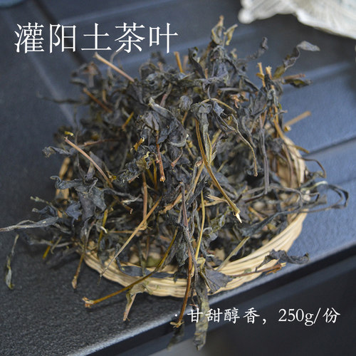 2026年灌阳清明谷雨瑶山茶叶 农家土茶叶 姜茶资源三江侗族打油茶