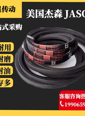 美国JASON杰森橡胶三角带  SPA4500 SPA4600 SPA4750