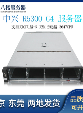 中兴 R5300G4 服务器支持双GPU显卡双M.2硬盘3647CPU存储深度学习