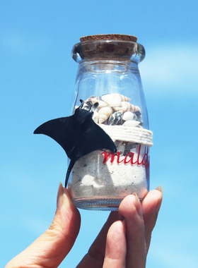 贝壳马尔代夫海螺沙瓶装饰品创意