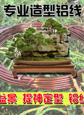 漆包铝线树枝定型铝丝线支撑盆景造型塑形材料园艺铝线金枝玉叶