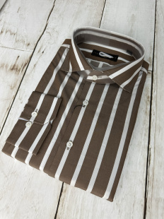 款 43码 男士 四季 长袖 咖色条纹全棉修身 蓝豹 衬衫