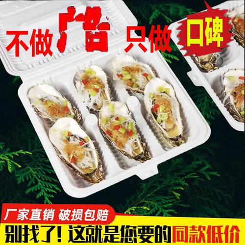 网红烤生蚝打包盒扇贝外卖一次性饭盒A3同款摆摊耐高温连体烧烤盒