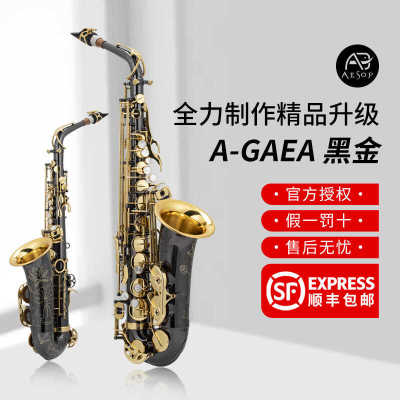 萨克斯Aesop中音黑金专业演奏