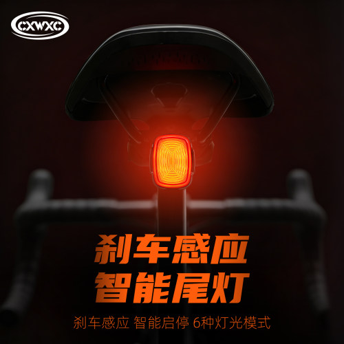 CXWXC自行车灯智能夜骑尾灯