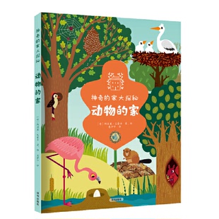 正版图书《动物的家》[意]阿涅塞·巴鲁齐 著、绘  惠伊宁 译深圳出版社有限责任公司