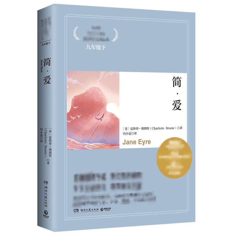 正版图书简·爱(英)夏洛蒂·勃朗特(Charlotte Bronte) 著 冯小晏 译湖南文艺出版社小说/世界名著纸质书籍
