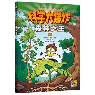安迪·赫希 美 译者 穆绘莉贵州人民儿童读物 科普百科纸质书籍 正版 童书 图书森林：树