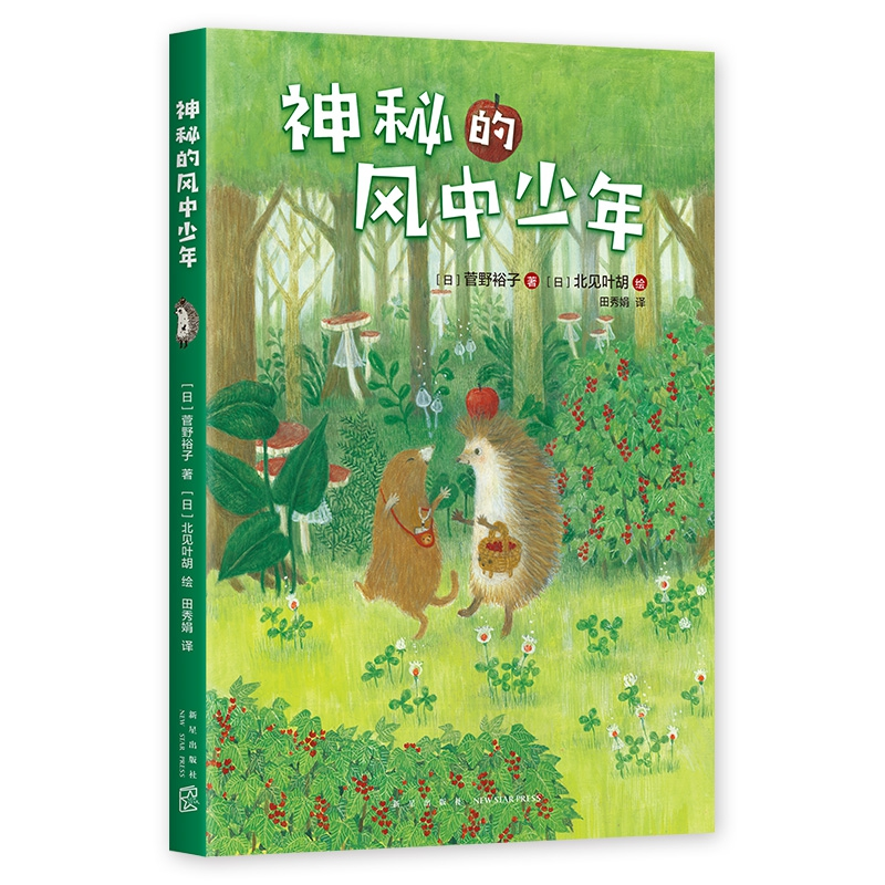 正版图书神秘的风中少年[日] 菅野裕子 [日] 北见叶胡 田秀娟新星出版社进口原版书(含港台)/文学类原版书纸质书籍