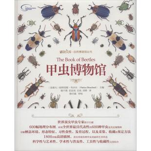 正版图书甲虫博物馆(加拿大)帕特里斯·布沙尔北京大学出版社书籍\/杂志\/报纸/自然科学/生命科学/生物学纸质书籍