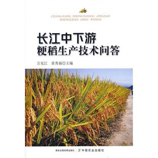 正版图书长江中下游粳稻生产技术问答万克江 章秀福 主编中国农业出版社有限公司会计/券/经济/金融纸质书籍