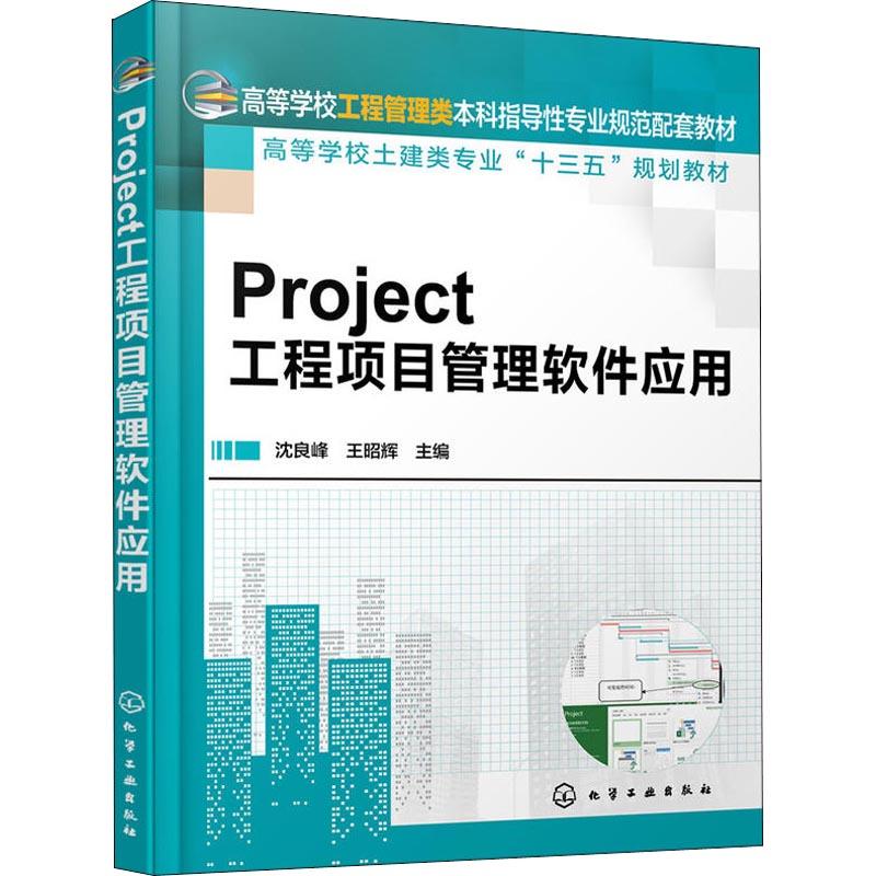 正版图书Project工程项目建筑/水利（新）