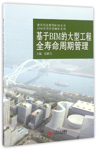 图书基于BIM 正版 建筑信息模型BIM丛书编者 BIM应用实例解析系列 张鹏飞同济大学9787560866000 大型工程全寿命周期管理