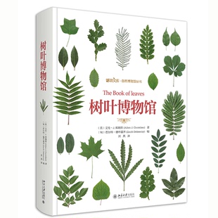 正版图书树叶博物馆 外国现当代文学 (英)艾伦·j.库姆斯(英)艾伦·J.库姆斯,(匈牙利)若尔特·德布雷齐北京大学出版社儿童文学