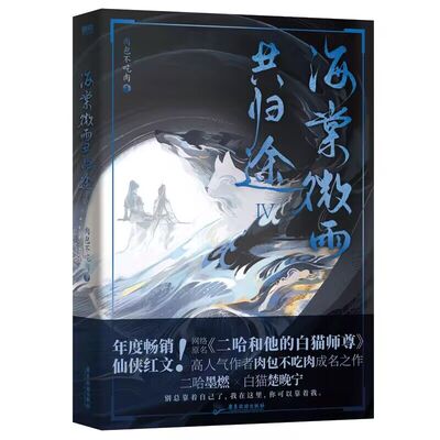 正版图书海棠微雨共归途.4普通版飞机盒（无手帕版）肉包不吃肉广东旅游小说/青春/都市/言情/轻小说纸质书籍