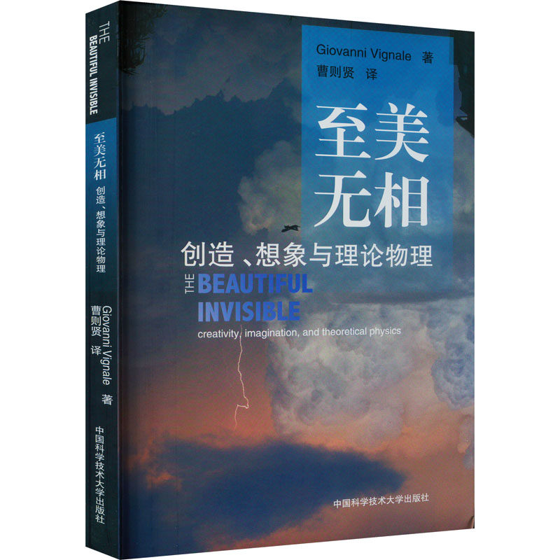 正版图书至美无相 创造、想象与理论物理(意)维尼亚勒 著 曹则贤 译中国科学技术大学出版社医学卫生/药学纸质书籍