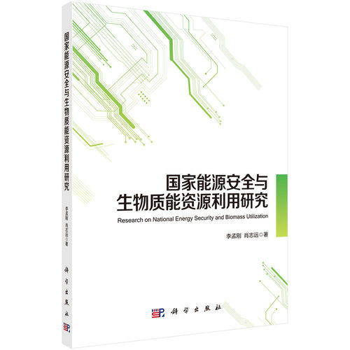 正版图书能源安全与生物质能资源利用研究李孟刚，肖志远科学出版社书籍\/杂志\/报纸/工业/农业技术/能源与动力工程纸质书籍