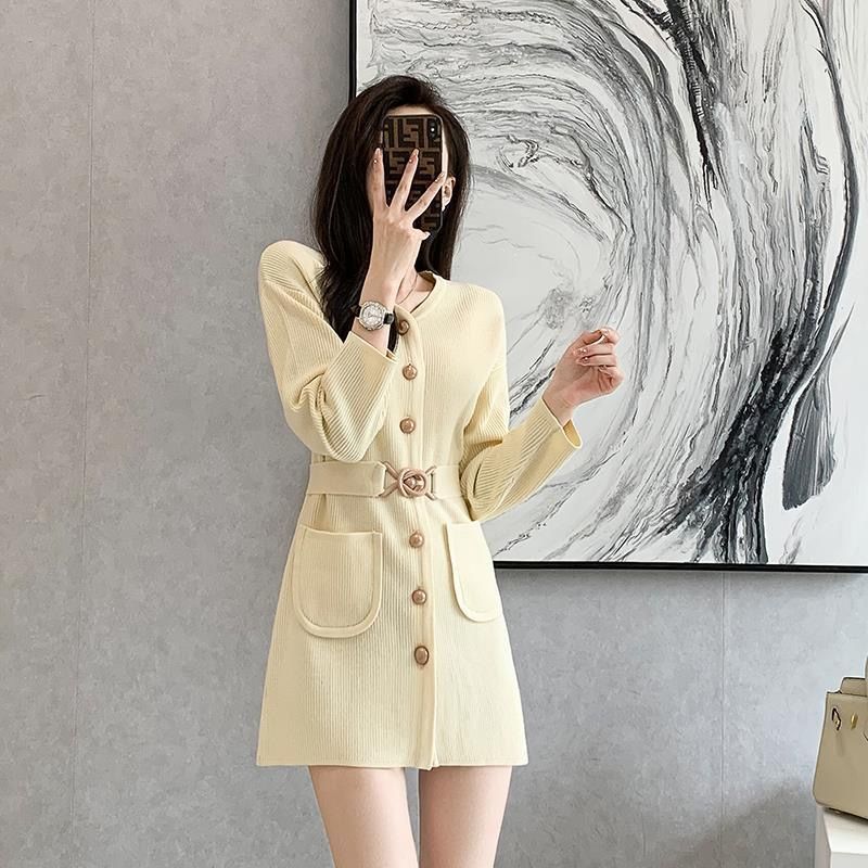 欧洲站女装2025新款法式高级感气质打底裙配大衣针织连衣裙女秋冬