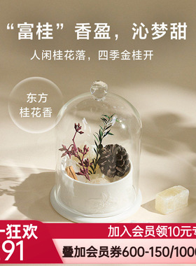爱慕纽格芙金桂香逢陶瓷晶石香薰NG60136