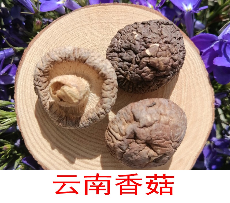 云南火锅肉厚小香菇