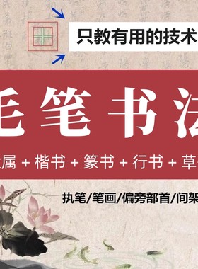 零基础毛笔书法入门教程2024欧体颜体楷书隶书篆行草书视频网课程
