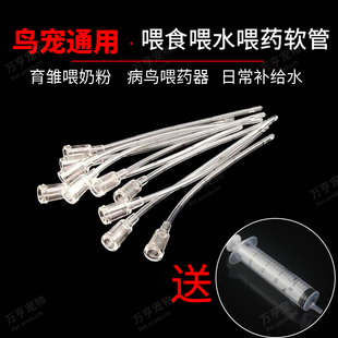 鸟类灌胃管针筒宠物喂食器针管喂奶喂水器动物注射流食软管喂药器