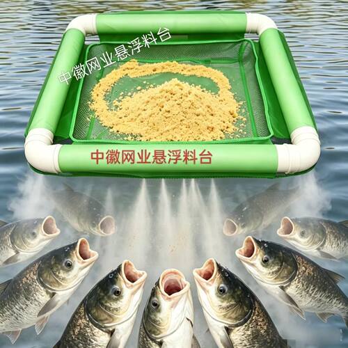 鱼塘专用花白鲢悬浮漂浮料台纱网