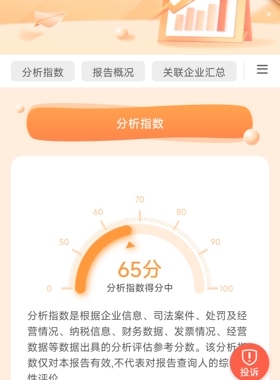查询中大企业综合信用评价大数据评分，规避不良记录，融资更精准
