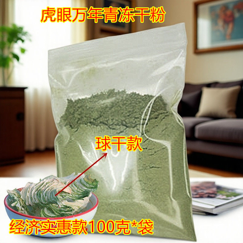 野生虎眼万年青茶盆栽海葱东北旱三七可食用泡水煲汤干粉胶囊包邮