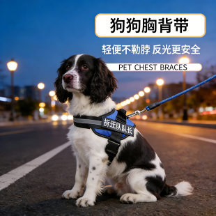 史宾格专用牵引绳狗狗胸背带背心式狗绳子不勒脖宠物小狗链子栓狗