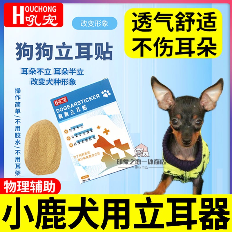 小鹿犬专用狗狗立耳神器幼犬耳朵立耳贴小狗竖耳朵夹子辅助器固定 宠物/宠物食品及用品 更多日用品 原图主图