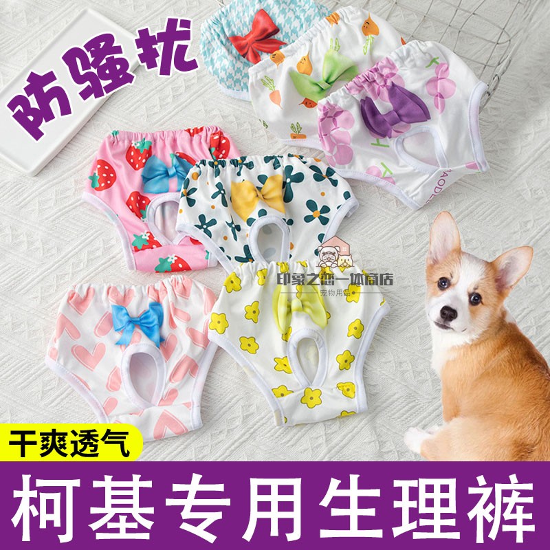 柯基专用狗狗生理裤母狗发情期防交配防骚扰衣服姨妈巾安全裤月经