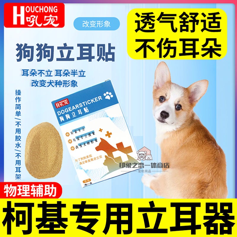 柯基犬专用狗狗立耳神器幼犬立耳辅助器小狗立耳贴竖耳绑耳朵胶带 宠物/宠物食品及用品 更多日用品 原图主图