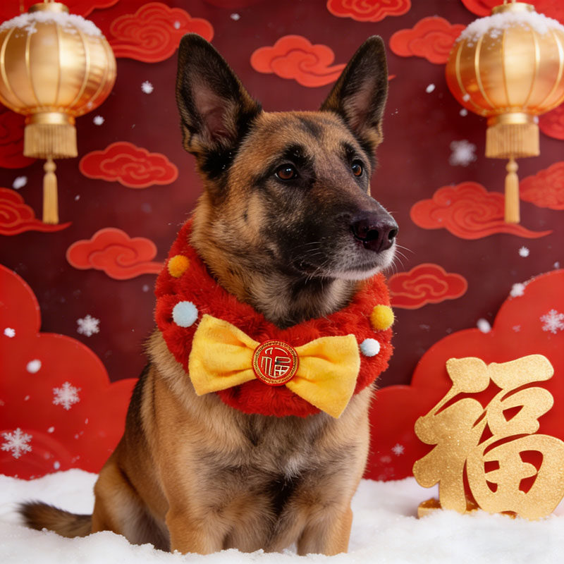 马犬专用狗狗新年围脖过年红色喜庆围巾宠物装饰品大狗围兜配饰,宠物/宠物食品及用品,围巾/口水巾,淘宝优惠券,粉丝福利购,淘宝优惠卷