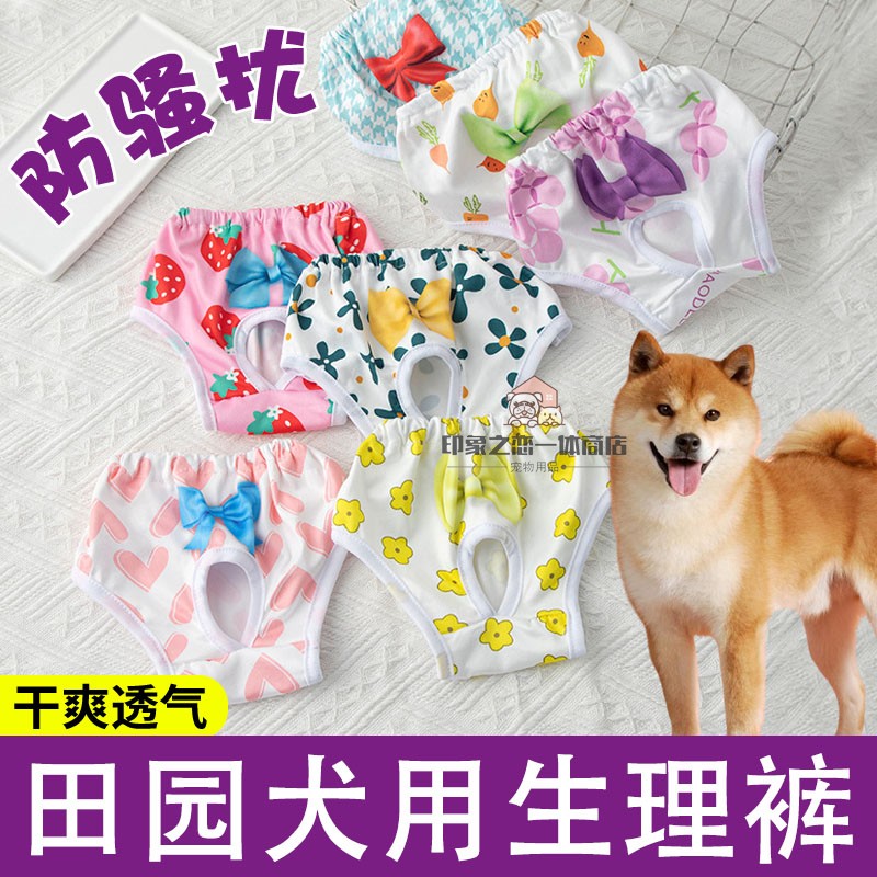 田园犬专用狗狗生理裤母狗发情期防交配防骚扰衣服姨妈巾避孕安全