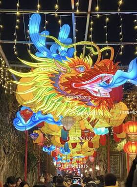 龙发光龙头花灯彩灯中秋春节元宵元旦大型花节日花灯定制造型现货
