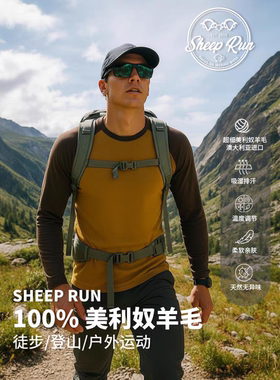 大牧场SHEEP RUN美利奴羊毛男长袖圆领透气T恤速干200g户外跑步