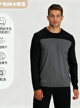 SHEEP RUN大牧场 美利奴羊毛男士25年新品180g长袖T恤速干可机洗