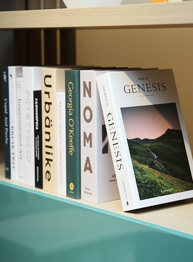 简约现代风英文模型摄影仿真书