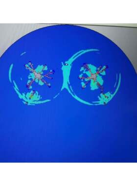 ansys lsdyna autodyn代做 答疑 远程一对一教学 录制影片