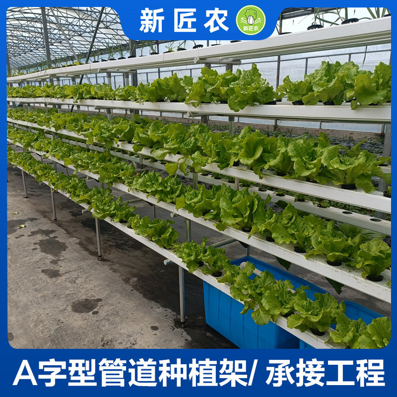无土栽培设备植物工厂展示楼顶水培管道式蔬菜瓜果叶菜A型种植架