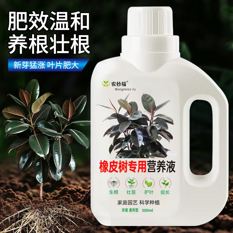 橡皮树专用营养液黑金刚防掉叶枯萎黄叶通用型花卉绿植有机肥料图片