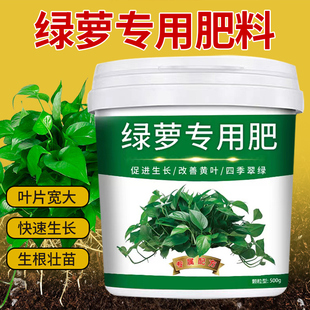 绿萝专用肥颗粒缓释型增根壮苗叶片肥厚除菌增营养调酸碱防板结