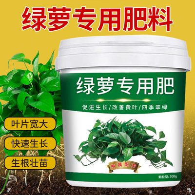 绿萝专用肥颗粒缓释型增根壮苗叶片肥厚除菌增营养调酸碱防板结