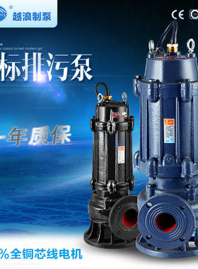80WQ40-22-5.5污水潜水泵 5.5千瓦 wq型污水泵 3寸口径立式排水泵