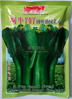 啊牛种子叶型菜苔粗壮油青美观