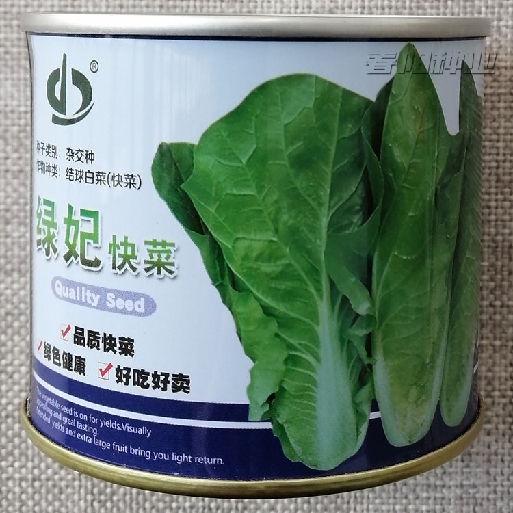 绿妃快菜种子外叶深绿好吃好卖质地柔软无毛耐湿热厚叶小白菜种籽